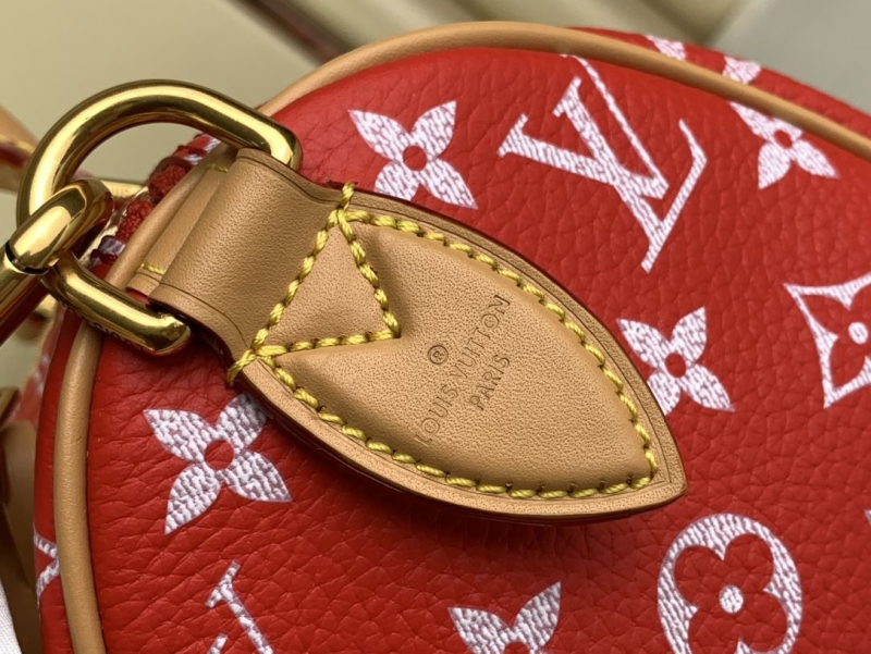 LV Speedy Bags